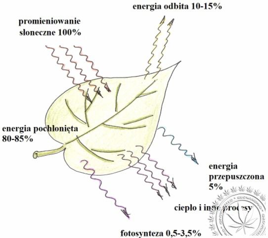 Wykorzystanie energii światlnej